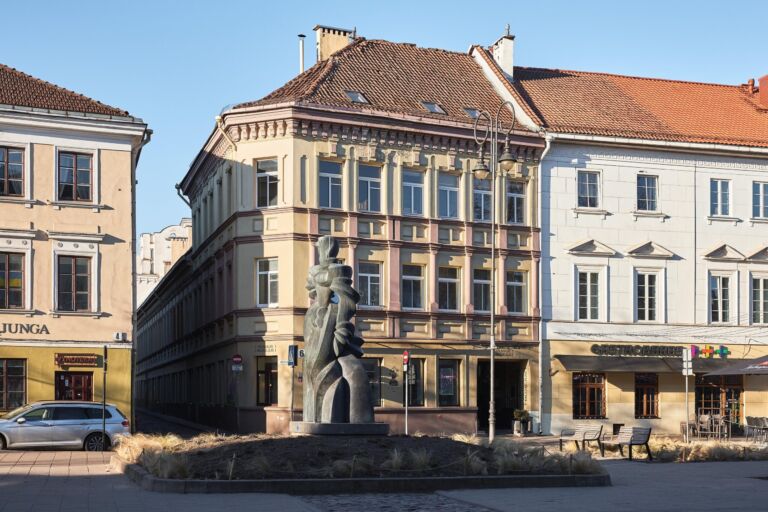 Vokiečių 6
