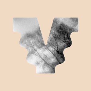 Pažintinis žygis po Markučių dvaro parką su gamtininku Martynu Balsiu